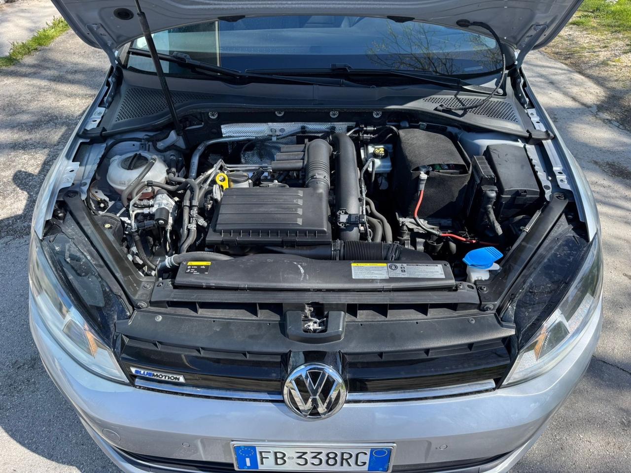 Volkswagen Golf 1.4 TGI 5p. Executive BlueMotion