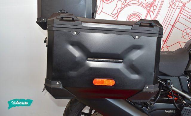 HARLEY-DAVIDSON Pan America 1250 PAN AMERICA 1250