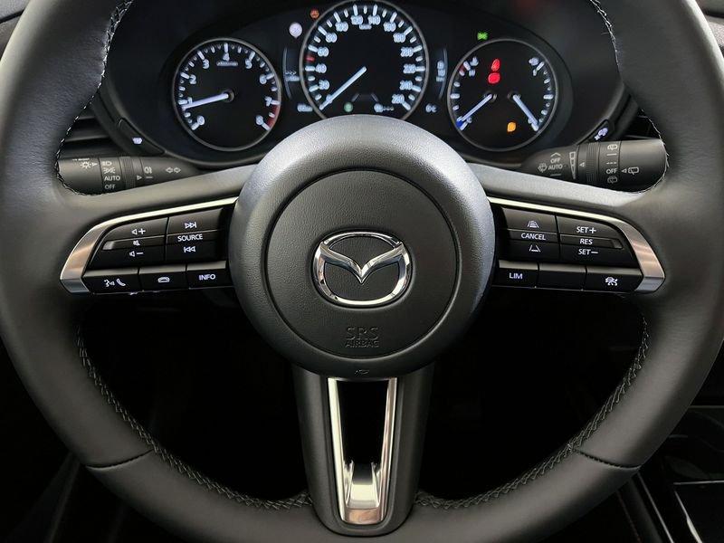 Mazda CX-30 2.0L e-Skyactiv-G M Hybrid 2WD Nagisa