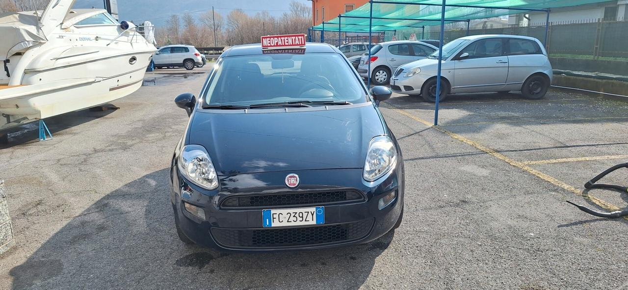 Fiat Punto 1.2 8V 5 porte Street