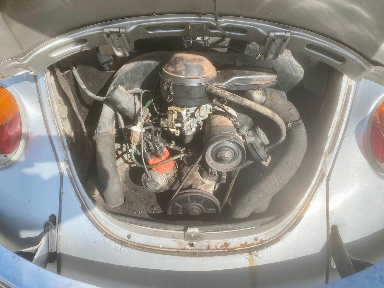 Volkswagen Maggiolino MAGGIOLONE VETRO TONDO