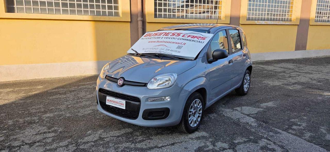 Fiat Panda 1.2 69 CV EASY- 4 POSTI - AUTO PER NEOPATENTATI! KM. 33.000-UNICO PROPRIETARIO!