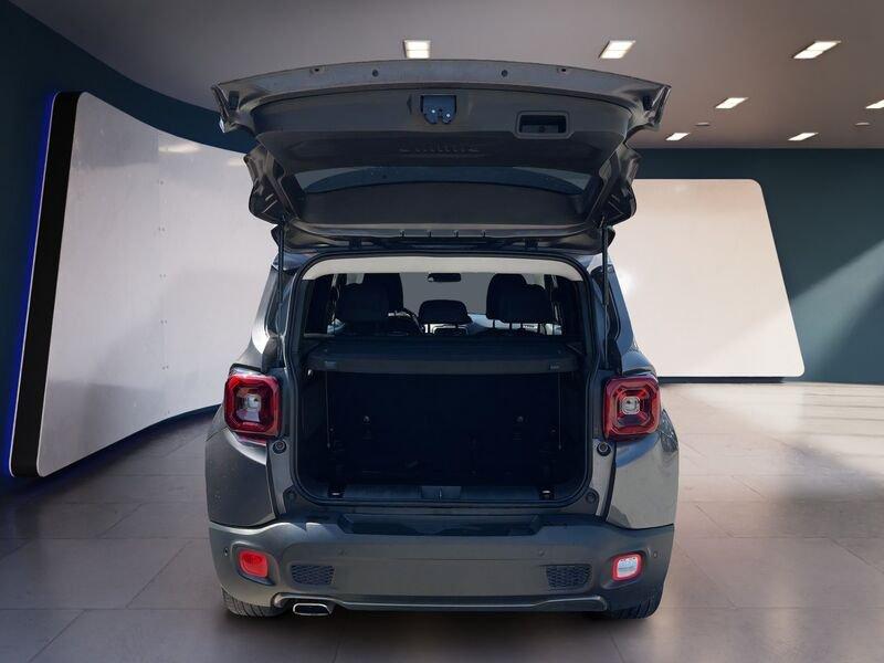 Jeep Renegade 2019 1.6 mjt Limited fwd