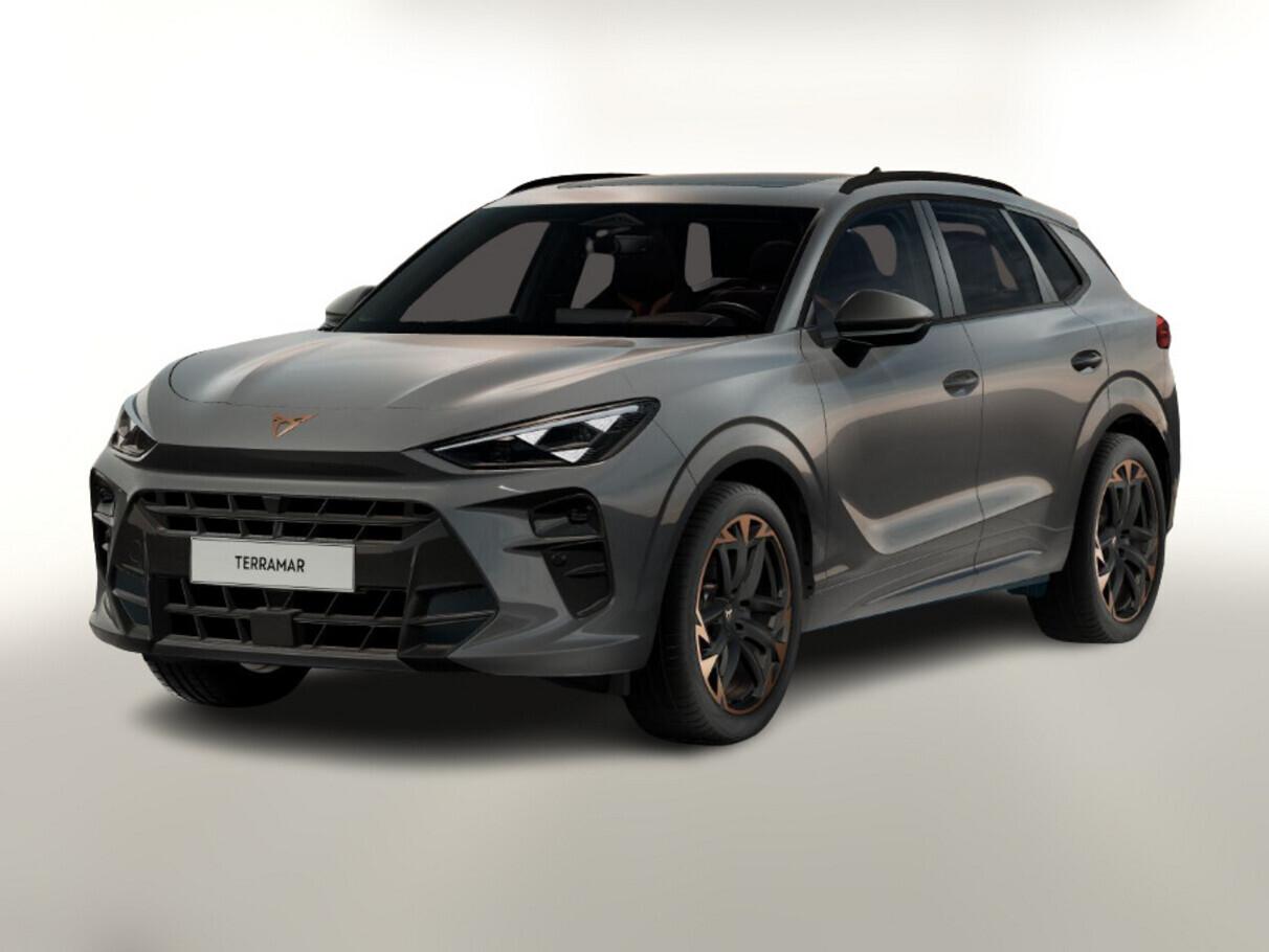 CUPRA Terramar 2.0 TSI DSG 4Drive VZ Tetto ap. Cerchi 20"