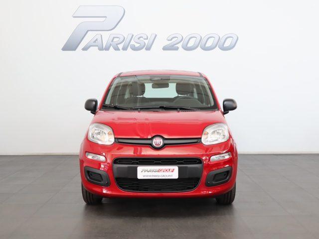 FIAT Panda 1.0 FireFly S&S Hybrid *PROMO PARISI GROUP*
