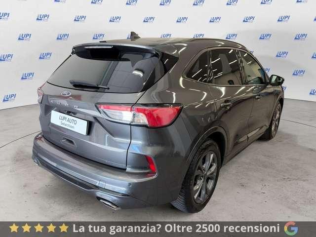 Ford Kuga 2.0 EcoBlue 120CV 2WD ST-Line X Auto