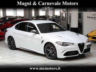 Alfa Romeo Giulia QUADRIFOGLIO|SPECIAL PAINT|HARMAN/KARDON|19''|