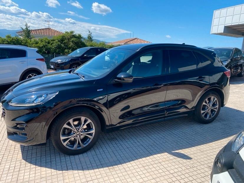 Ford Kuga 1.5 EcoBlue 120 CV aut. 2WD ST-Line X