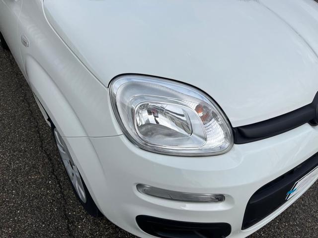 FIAT Panda PROMO FINANZIAMENTO 1.2 Pop