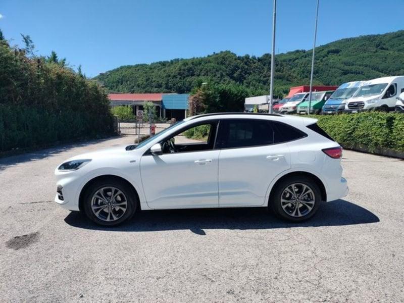 Ford Kuga Kuga 1.5 EcoBlue 120 CV 2WD ST-Line