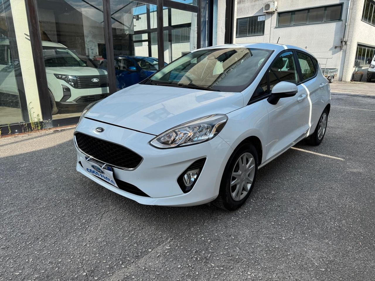 Ford Fiesta 1.1 75 CV GPL 5 porte Business