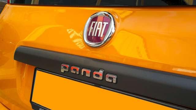 Fiat Panda Panda 1.2 69cv Easy