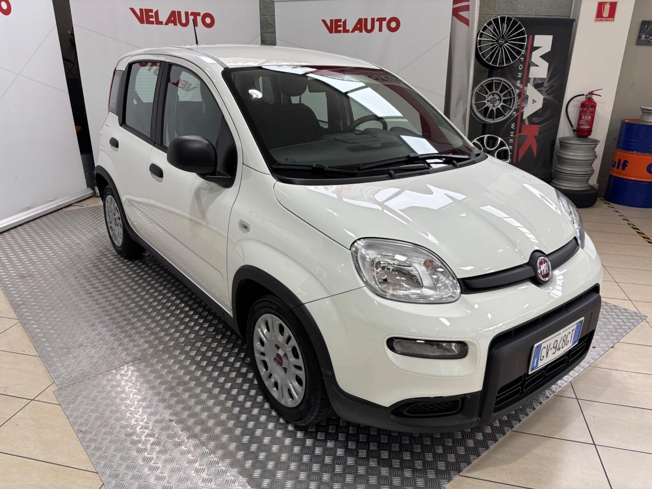 Fiat Panda 1.0 FireFly S&S Hybrid