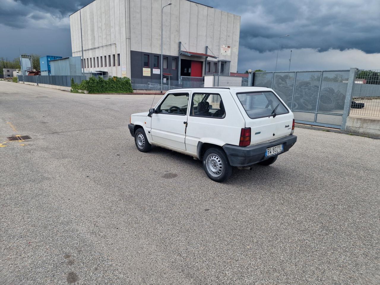 Fiat Panda 1100 i.e. cat Young