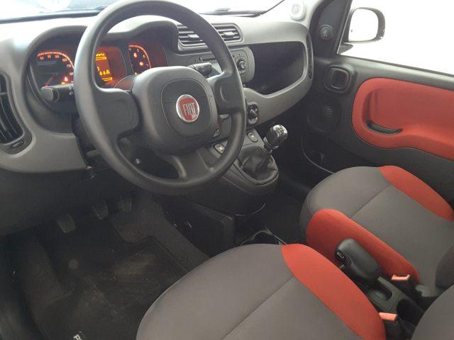 FIAT Panda 1.2 Easy *EURO 6*OMOLOGAZIONE 5 POSTI*