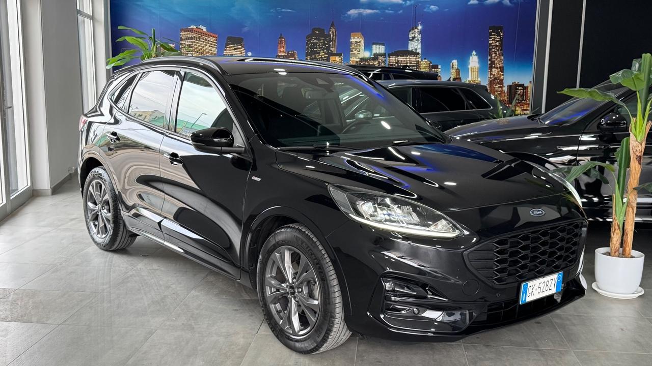 Ford Kuga 1.5 EcoBlue 120 CV 2WD ST-Line-2022