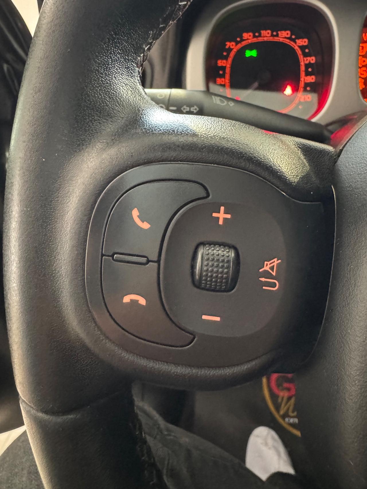 Fiat Panda Cross 1.3 MJT 95 CV S&S 4x4