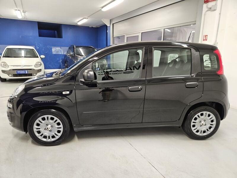 FIAT Pandina 1.0 firefly hybrid Icon s&s 65cv