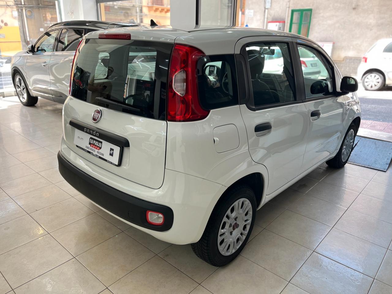 Fiat Panda 1.2 Easy KM 63.800 - 2019