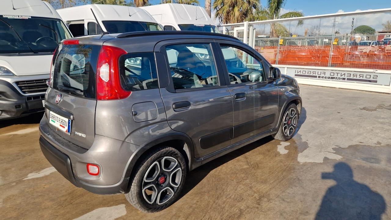 Fiat Panda 1.0 FireFly 70 CV Hybrid City Cross