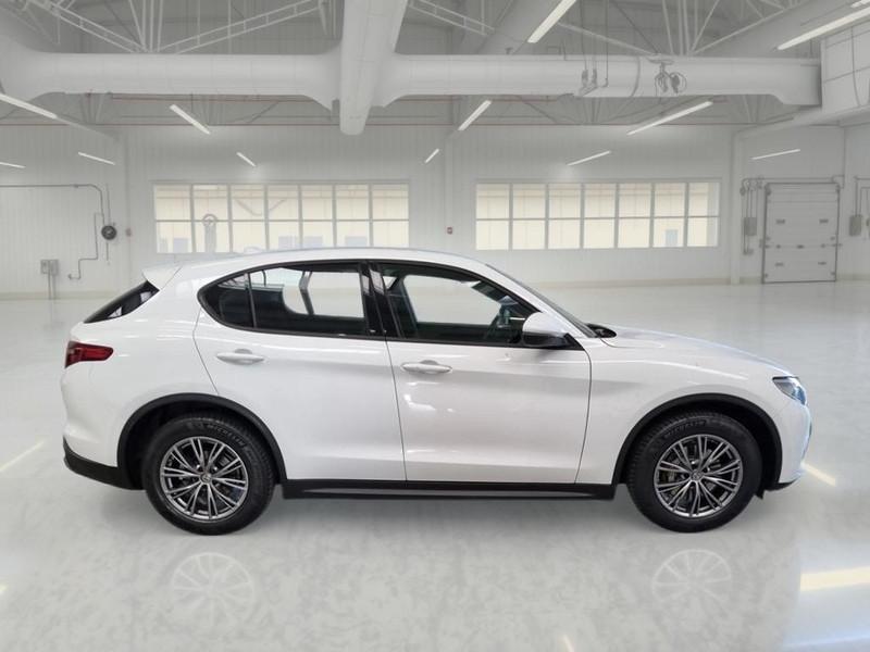ALFA ROMEO STELVIO 2.2 Turbo Diesel 190CV Business AT8 Q4