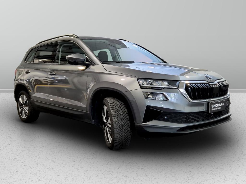 Skoda Karoq 2.0 tdi evo Executive 115cv dsg
