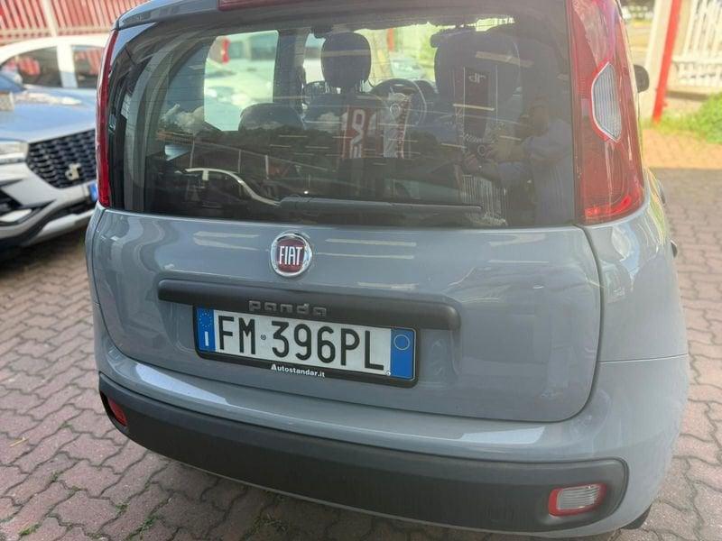 FIAT Panda 3ª serie 1.2 Easy