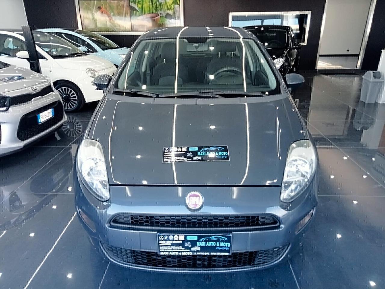 Fiat Punto 1.2 8V 5 porte 1 PROPRIETARIO