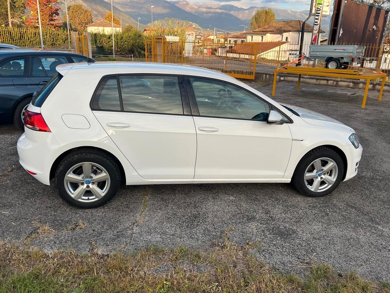 Volkswagen Golf 1.4 TGI 5p. Trendline BlueMotion