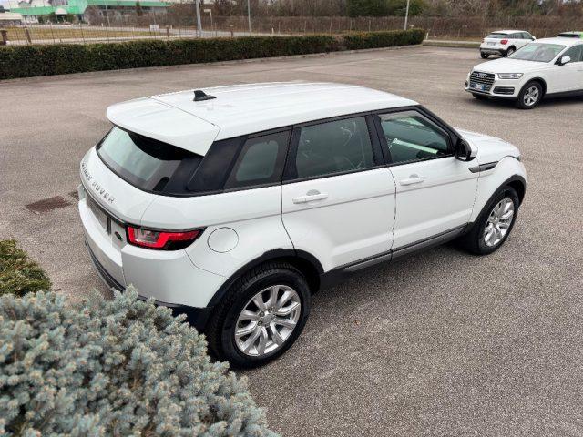 LAND ROVER Range Rover Evoque 2.0 TD4 150 CV 5P BUSINESS *TAGLIANDATO*