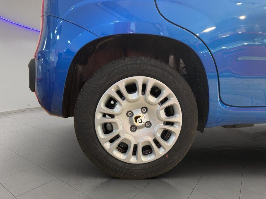 FIAT Panda 3ª serie Panda 1.0 FireFly S&S Hybr...