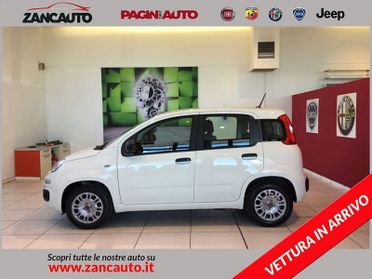 FIAT Panda Panda 1.0 FireFly S&S Hybrid S4 (5P)