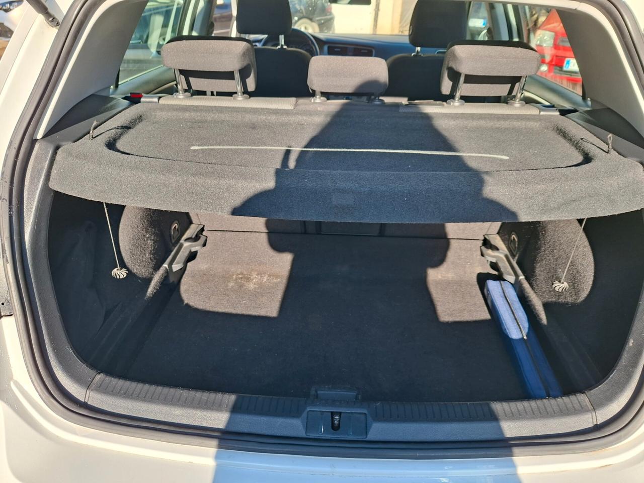 Volkswagen Golf 1.6 TDI 110 CV 5p. Business BlueMotion Technology