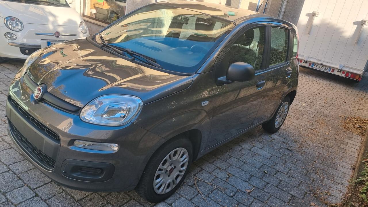 Fiat Panda 1.2 69CV 10/2018 Km 21000 neopat