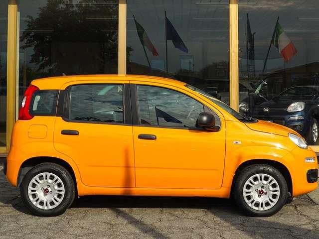 Fiat Panda Panda 1.2 69cv Easy