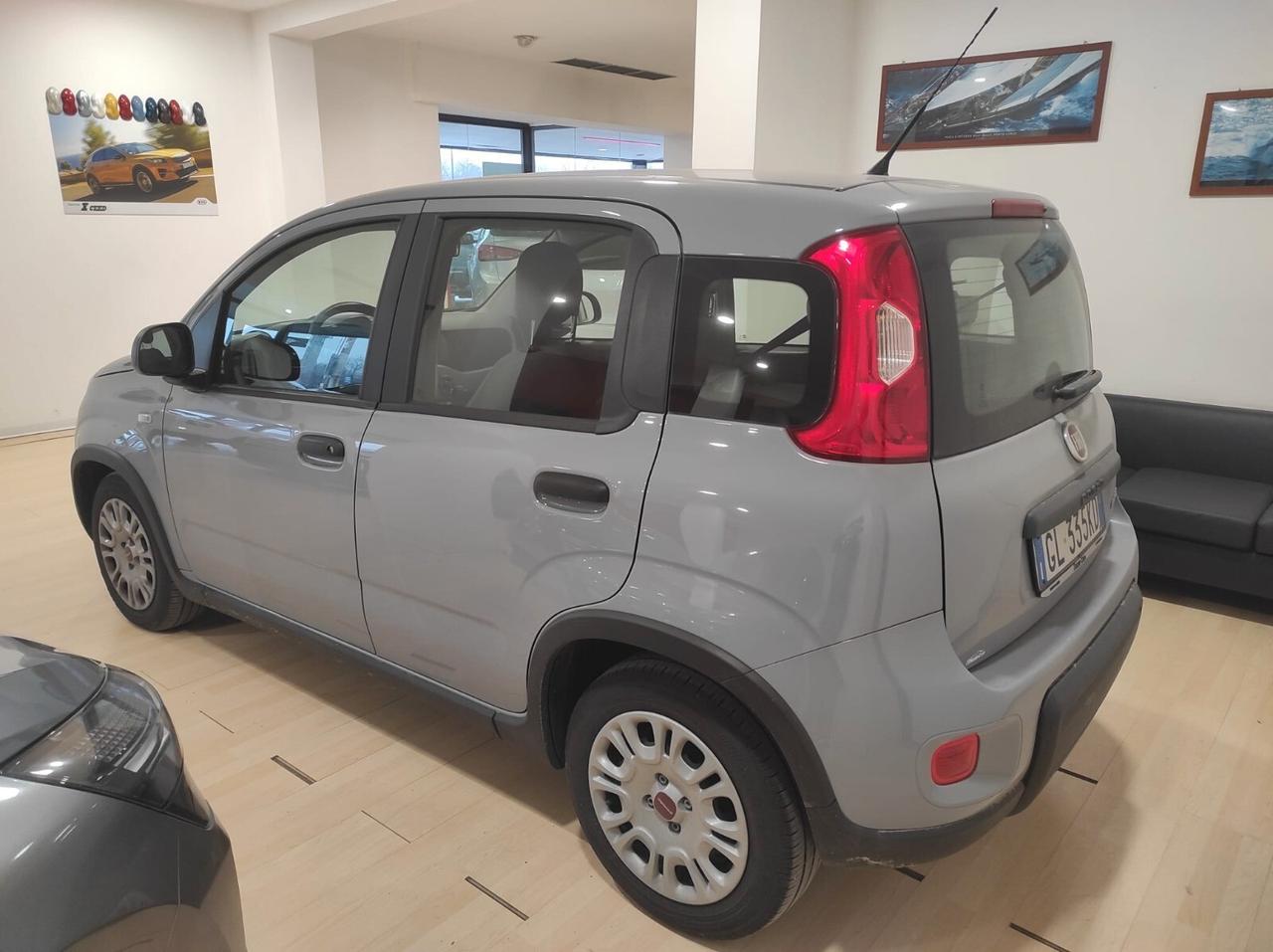 Fiat Panda 1.0 Hybrid X NEOPATENTATI 31600 KM