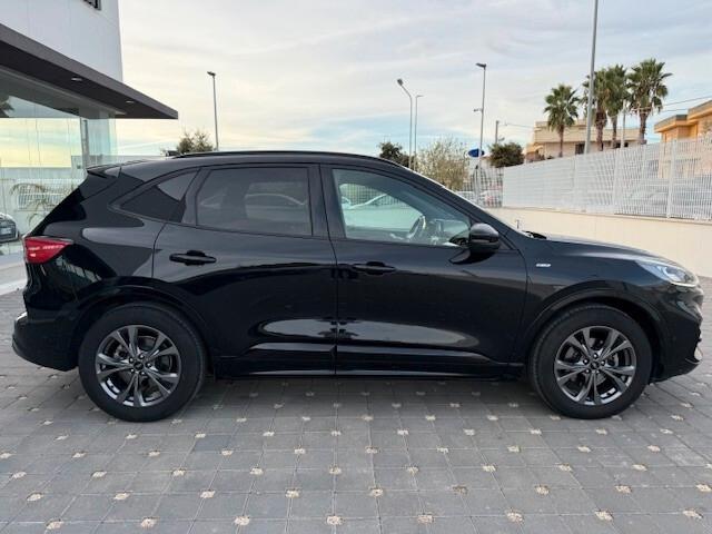 Ford Kuga 1.5 EcoBlue 120 CV 2WD ST-Line X 2020