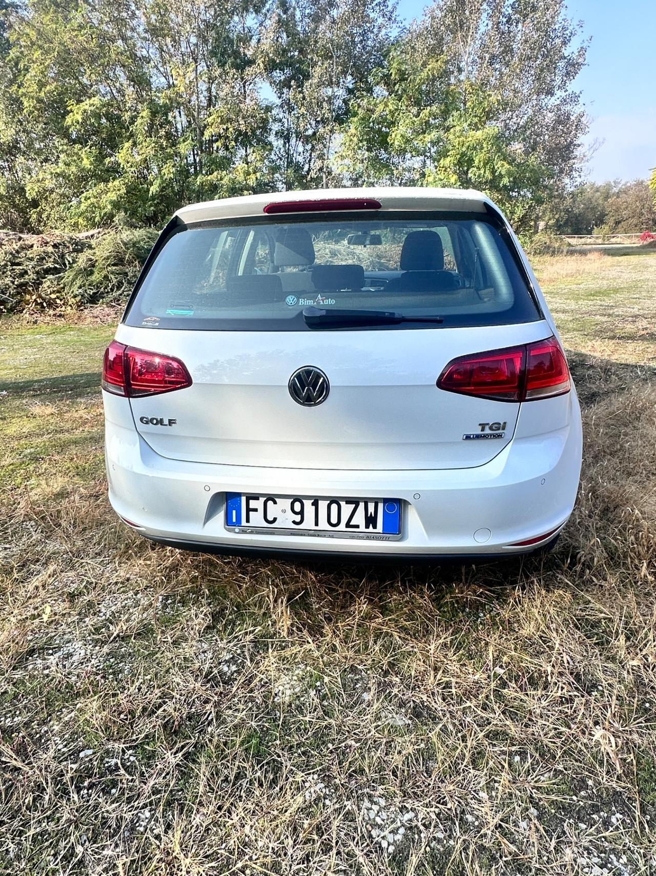 Volkswagen Golf 1.4 TGI 5p. Comfortline BlueMotion