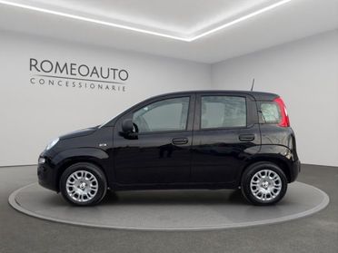 FIAT Panda 1.0 Hybrid 70cv 5 posti