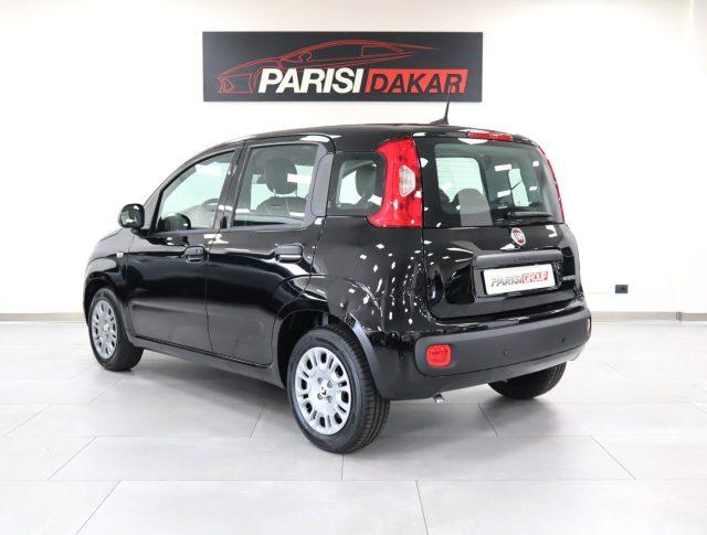 FIAT Panda 1.0 FireFly S&S Hybrid *PROMO PARISI GROUP*
