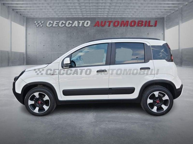 FIAT Panda Cross Panda 1.0 firefly hybrid Cross s&s 70cv 5p.ti