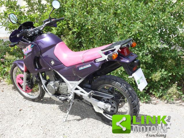 KAWASAKI KLE 500 Viola Fucsia