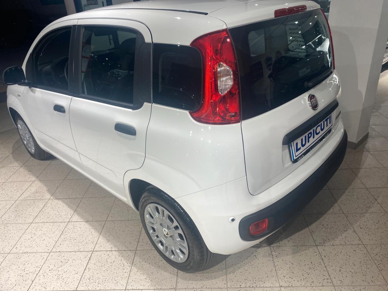 Fiat Panda 1.0 FireFly S&S Hybrid Icon