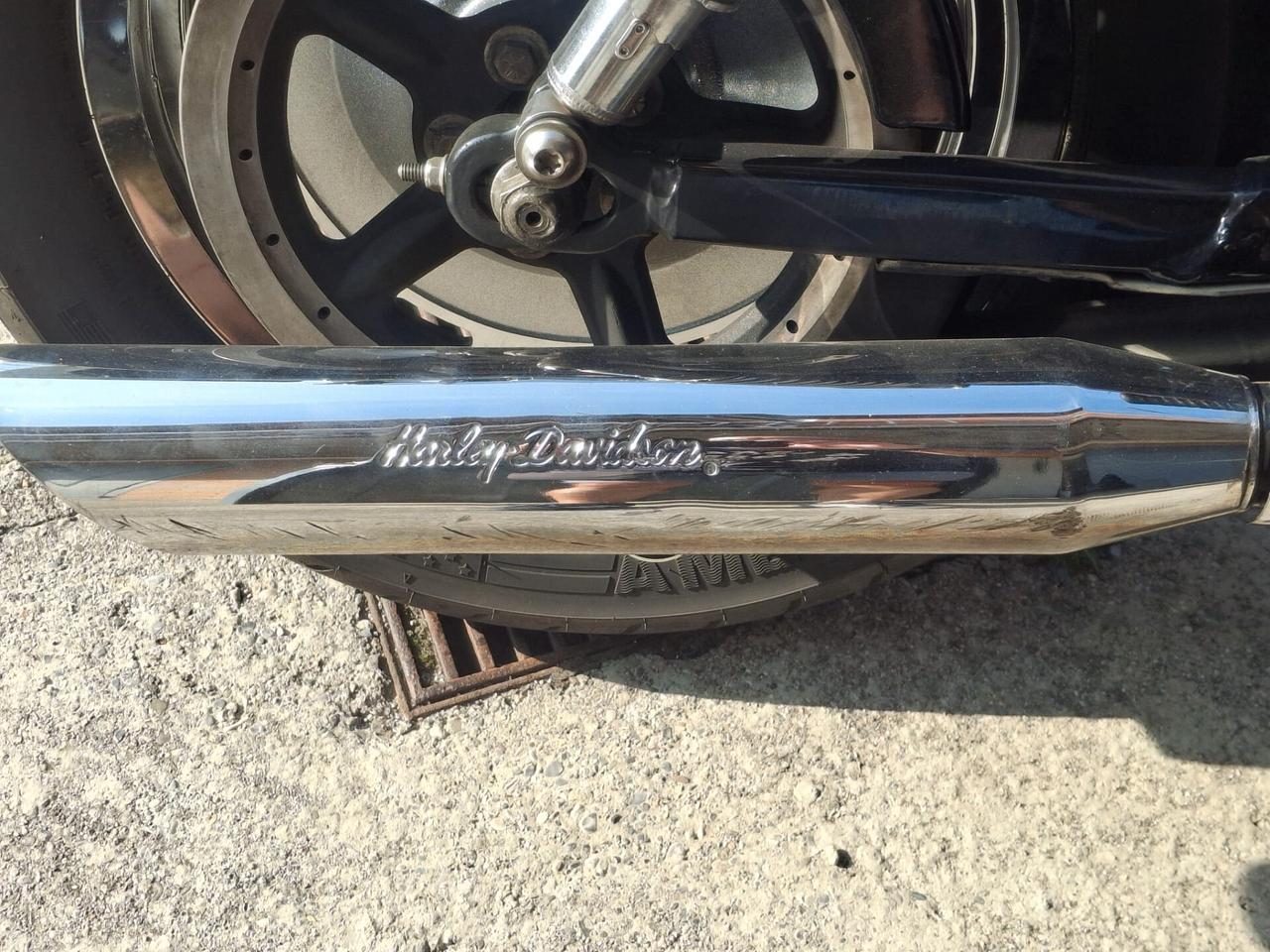 Harley-davidson 1200 Sportster Custom