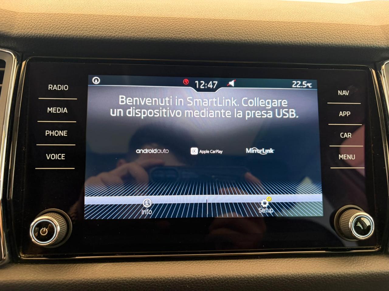 Skoda Kodiaq 2.0 tdi Ambition dsg