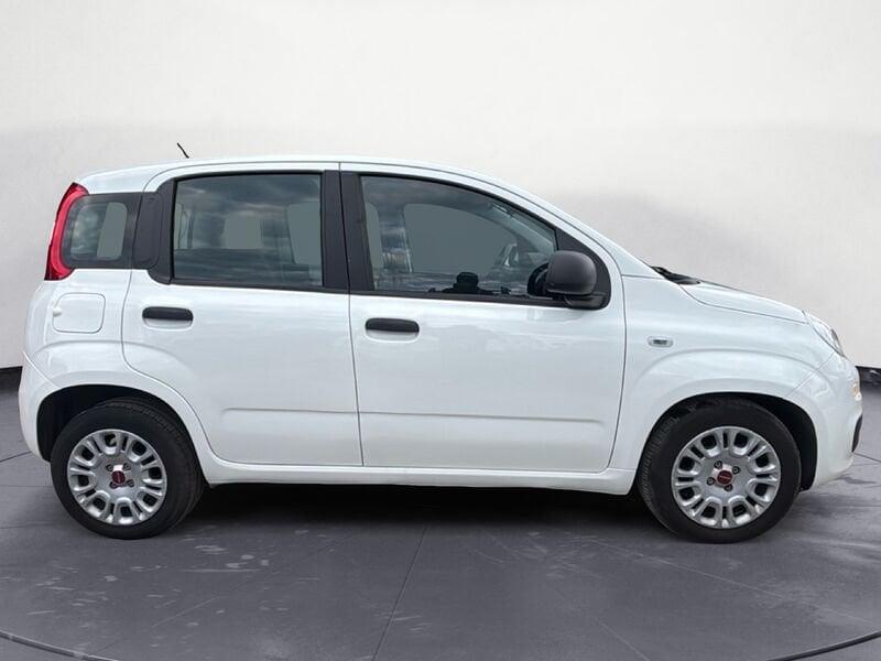 FIAT Panda 1.0 FireFly 70cv S&S Hybrid