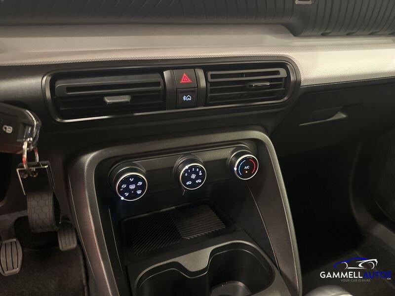 Citroën C3 C3 PureTech 100 SeS Max