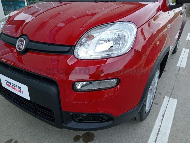 FIAT Panda 1.0 Hybrid 70 cv