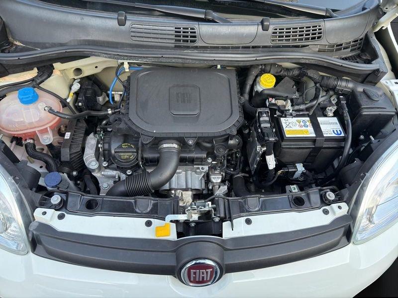 FIAT Panda Panda 5p 1.0 HYBRID 70cv 6m City Life