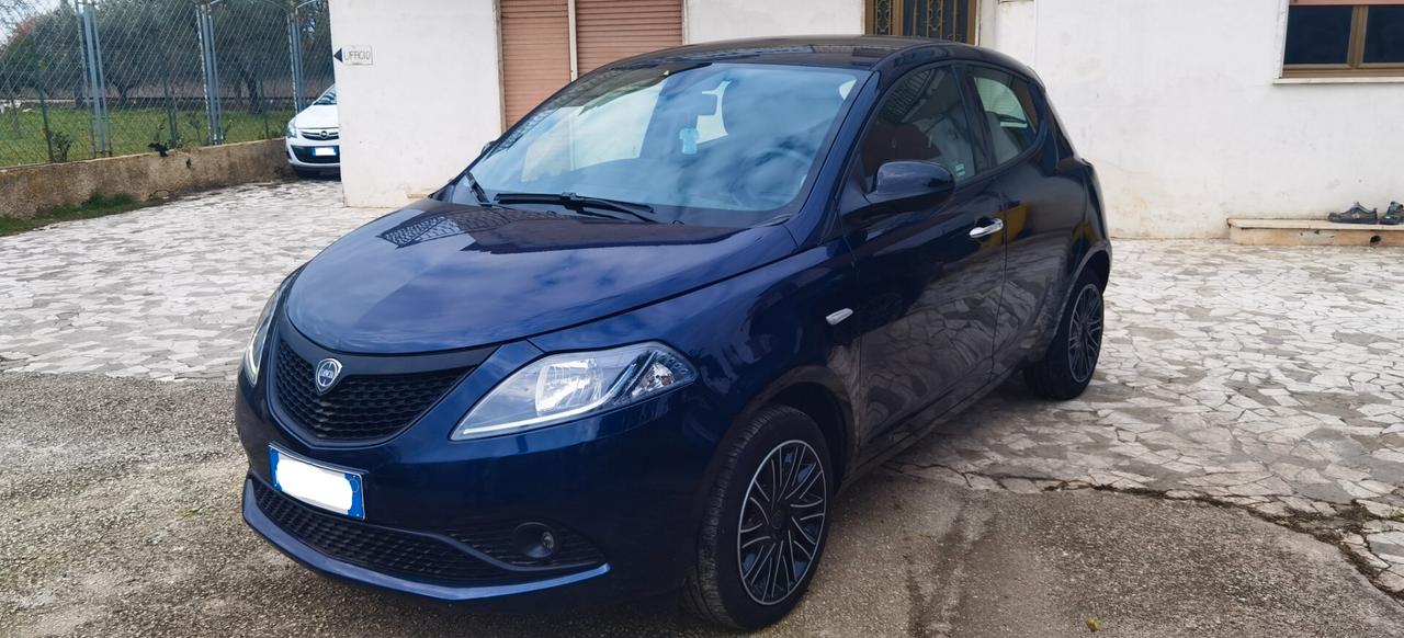 Lancia Ypsilon 1.0 FireFly 5 porte S&S Hybrid Ecochic A. Ferretti